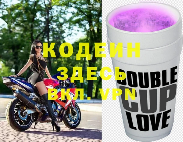 дживик Ессентукская
