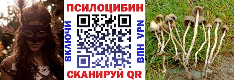 Псилоцибиновые грибы Psilocybine cubensis  Купить  Красный Сулин 